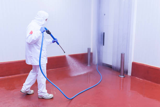 Best Parking Lot Cleaning in Pflugerville, TX